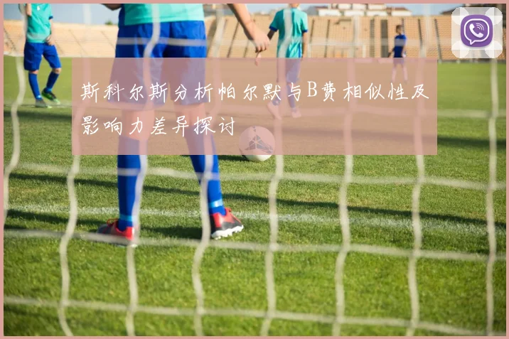 斯科尔斯分析帕尔默与B费相似性及影响力差异探讨